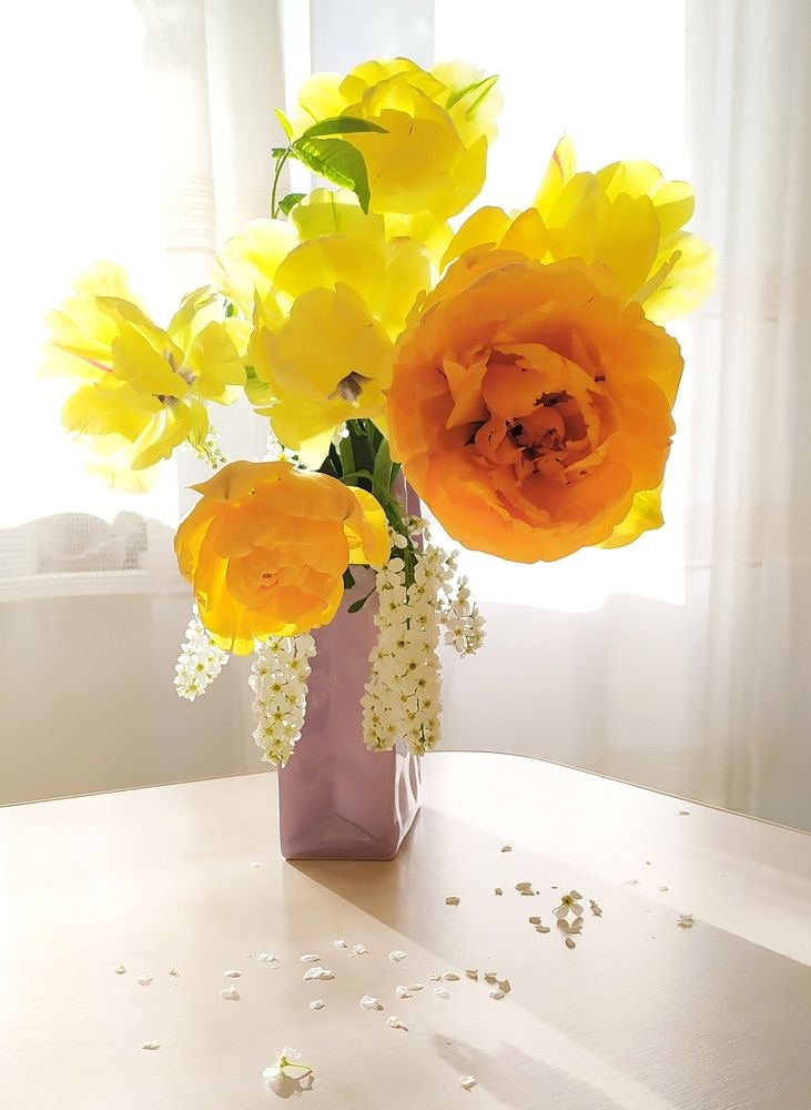 Photograph by Ольга Горох