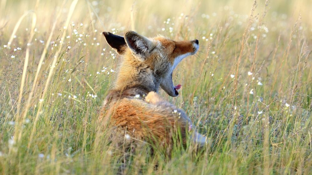 Photograph by Сергей Жданов