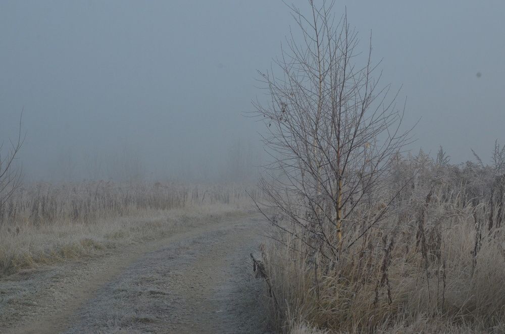 Photograph by Ольга Зиновьева