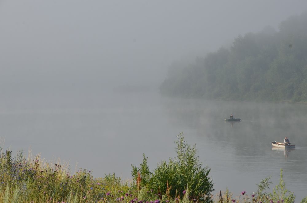 Photograph by Ольга Зиновьева