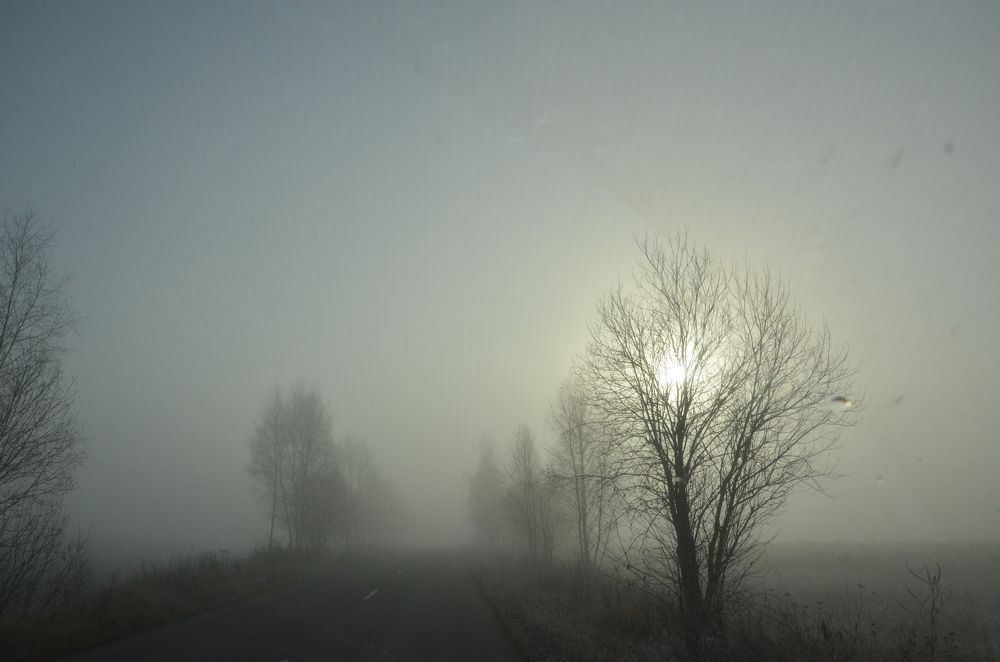 Photograph by Ольга Зиновьева