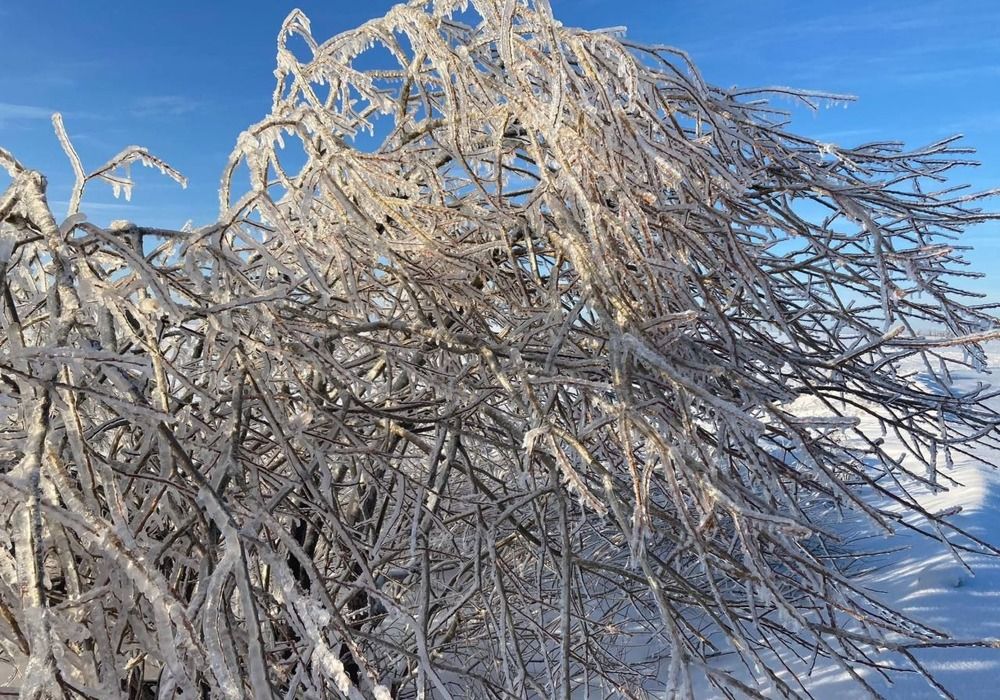 Photograph by Снежана Романова