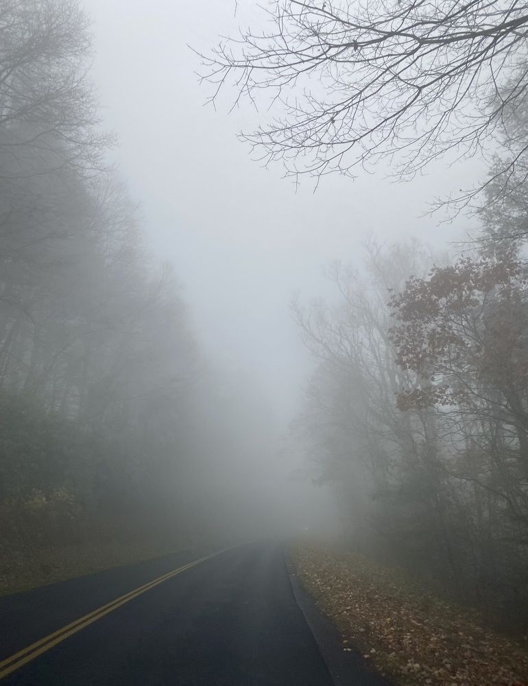 Photograph by Tyler Dewees