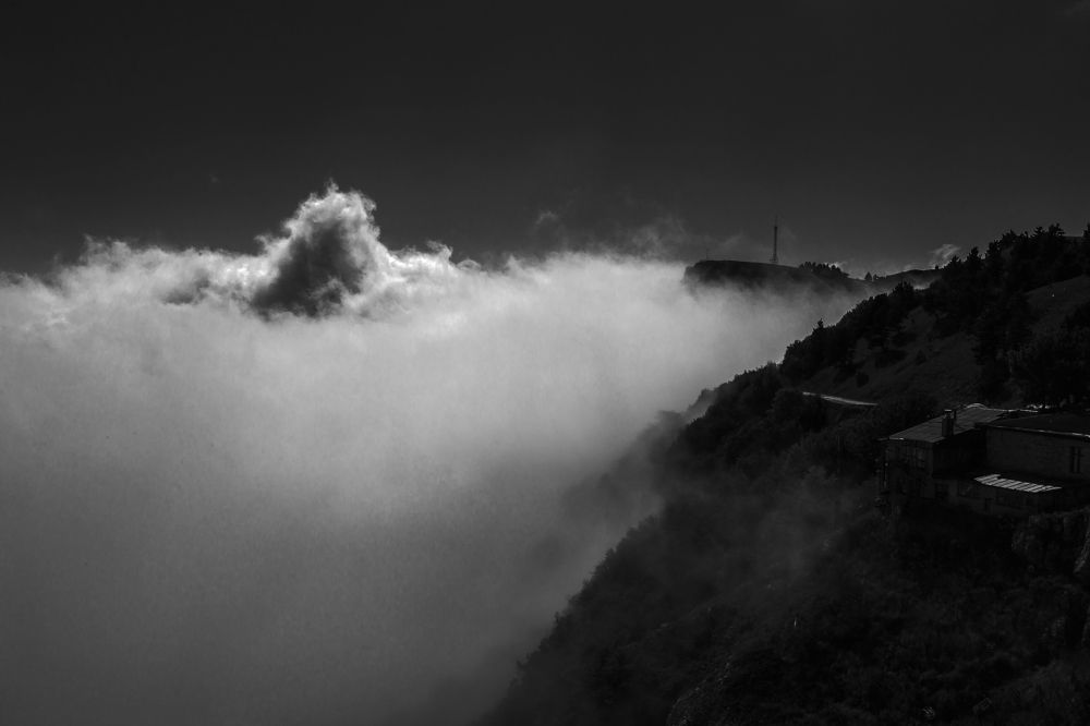 Photograph by Tkachenko Anastasia