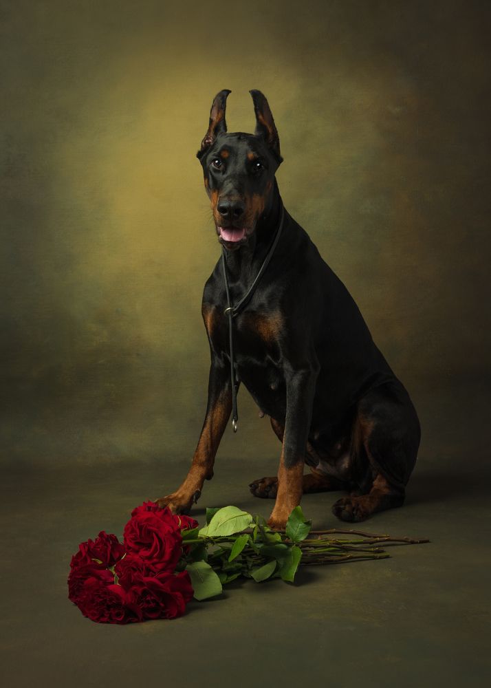 Photograph by Ольга Савельева