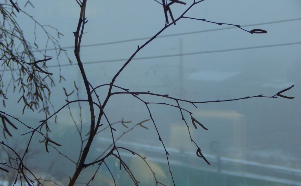 Фотография автора Валерий Цуркан