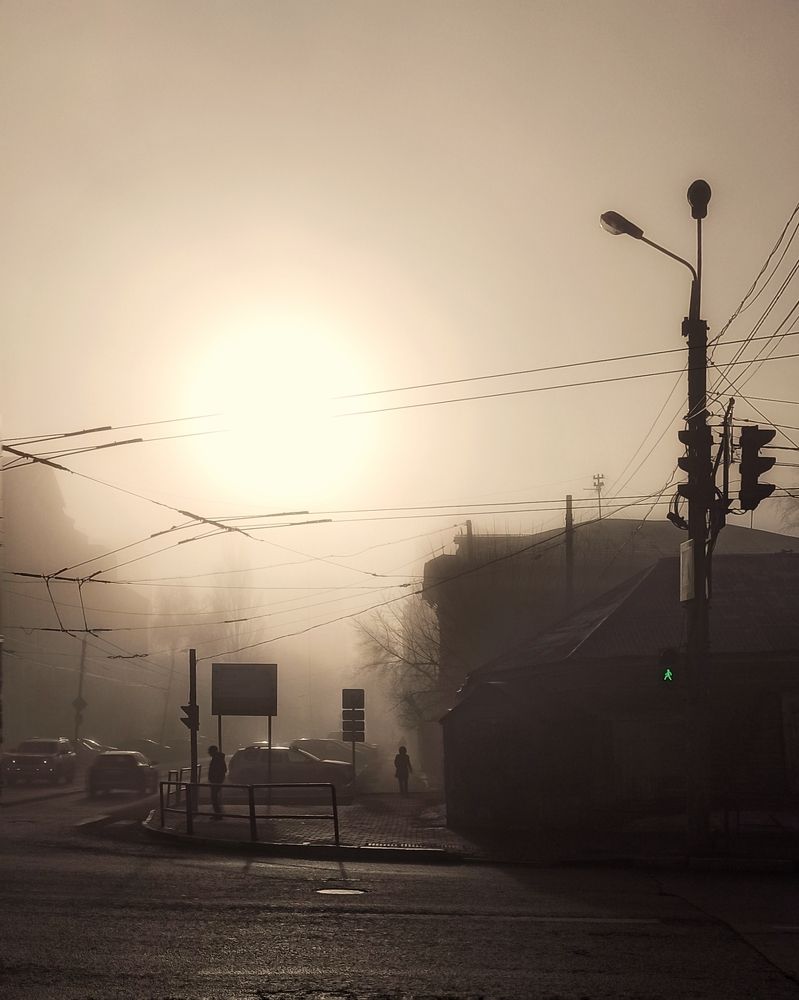 Photograph by Elena Bogomolova