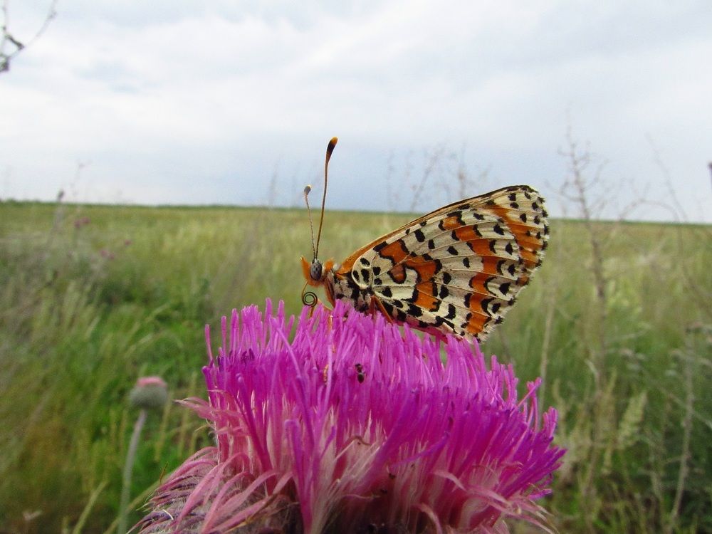 Photograph by Денис Веску