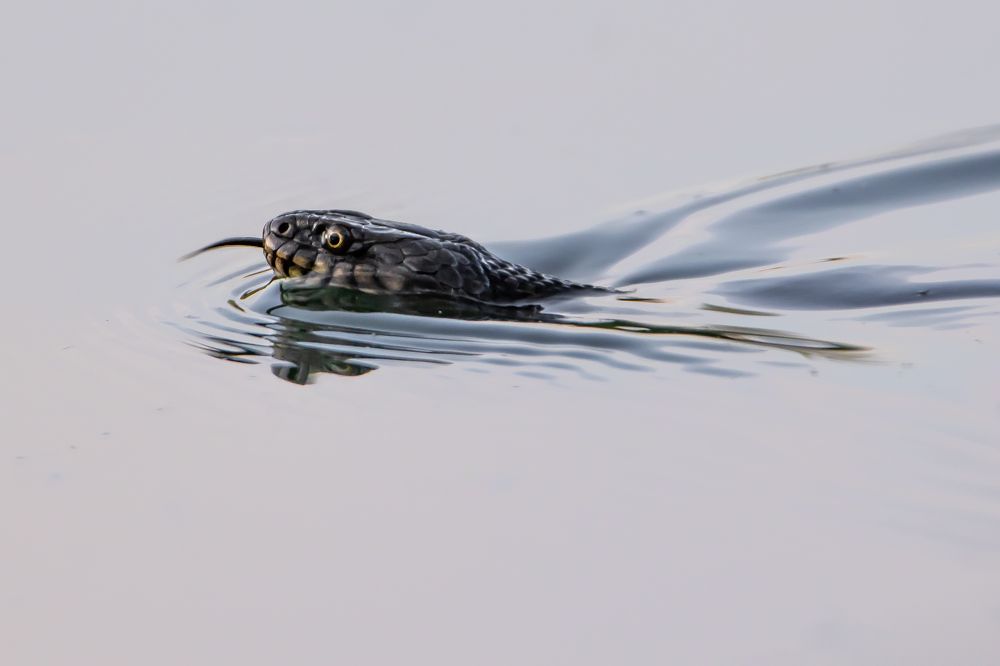 Photograph by Алёна Газукина