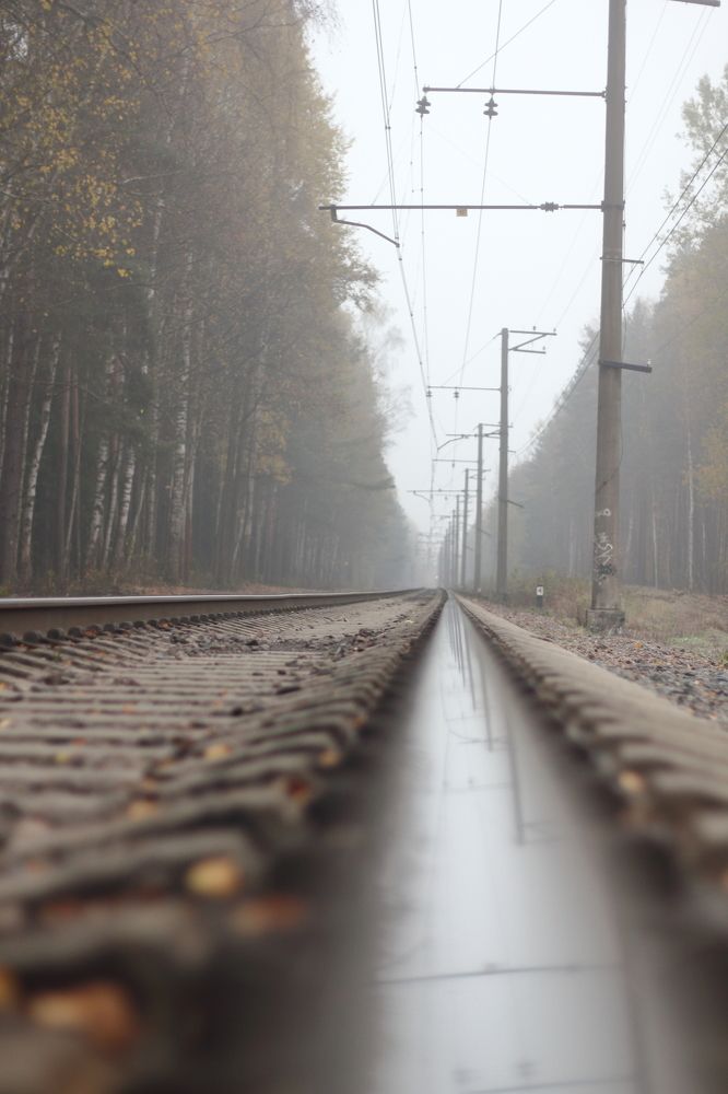 Фотография автора Михаил Кротков