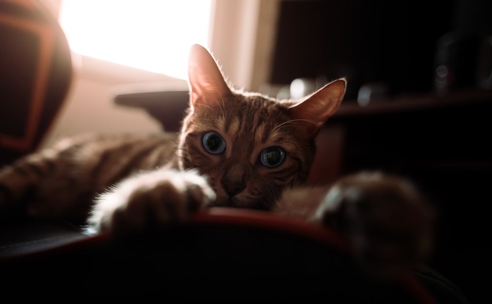 Photograph by Damir Sadekov