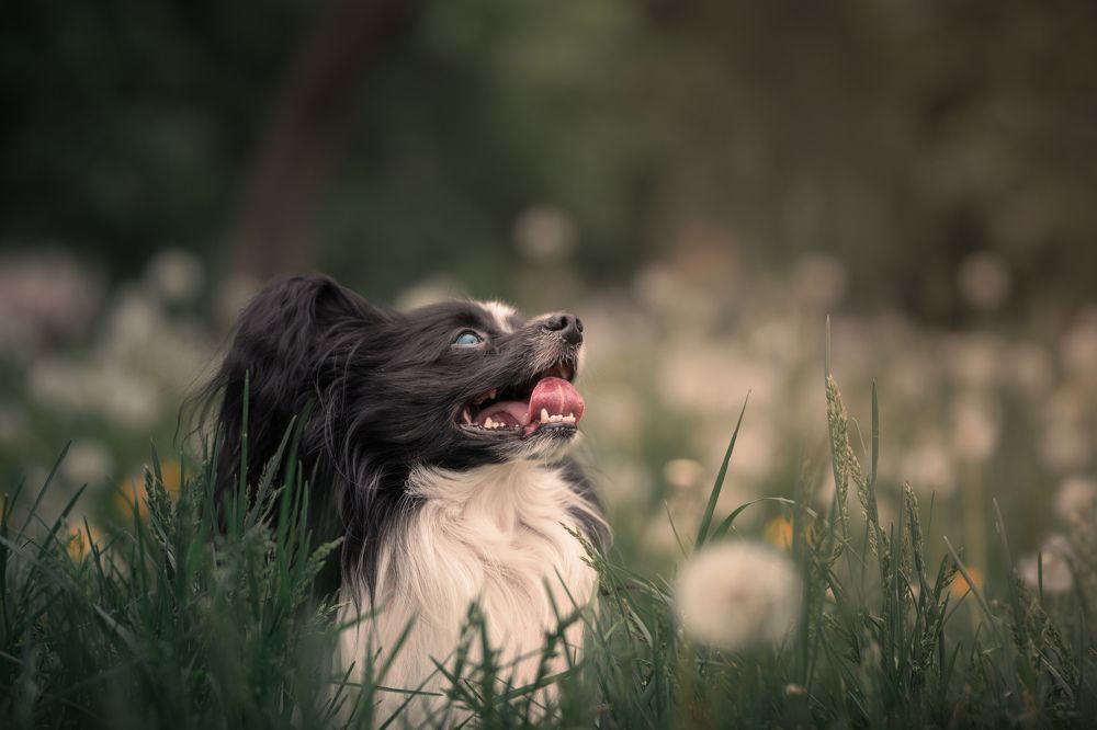 Photograph by Damir Sadekov