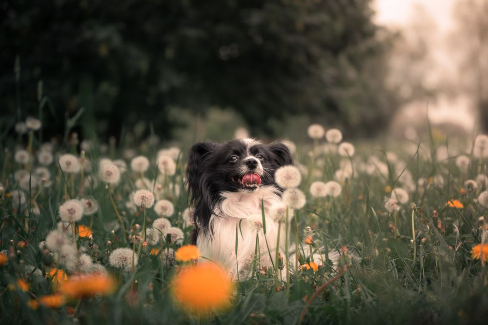 Photograph by Damir Sadekov