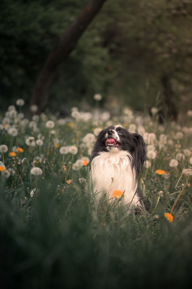 Photograph by Damir Sadekov