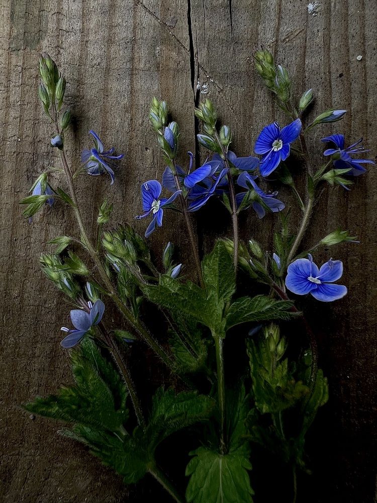 Photograph by Татьяна Зенина