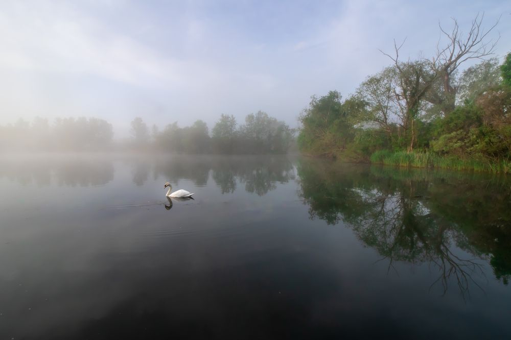 Photograph by Алёна Газукина