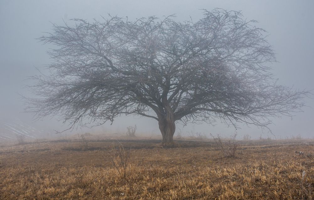 Photograph by Савчук Сергей