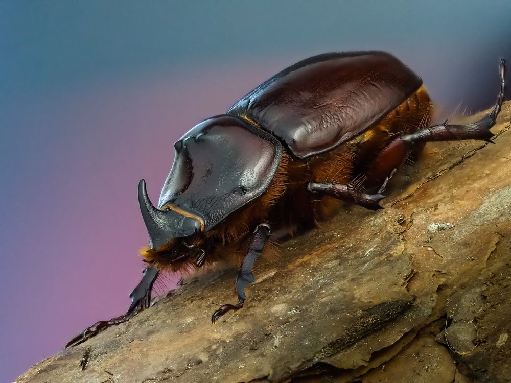 Photograph by савицкий олег