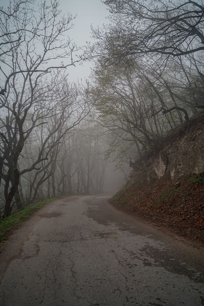 Photograph by Ксения Илюшина