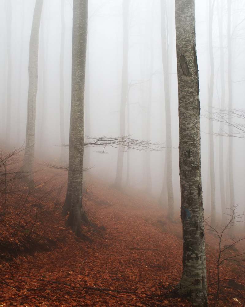 Photograph by ILIAS DIMITRIOU