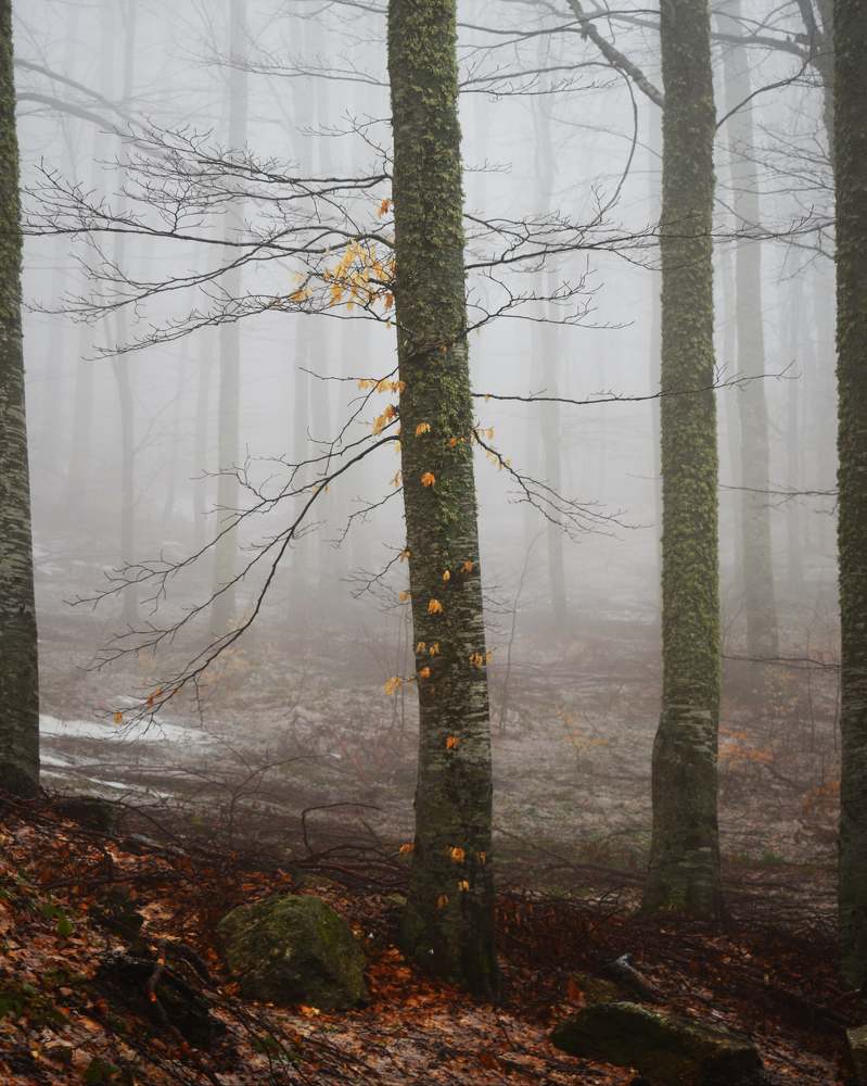 Photograph by ILIAS DIMITRIOU