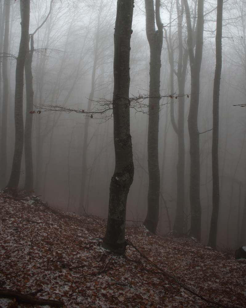 Photograph by ILIAS DIMITRIOU