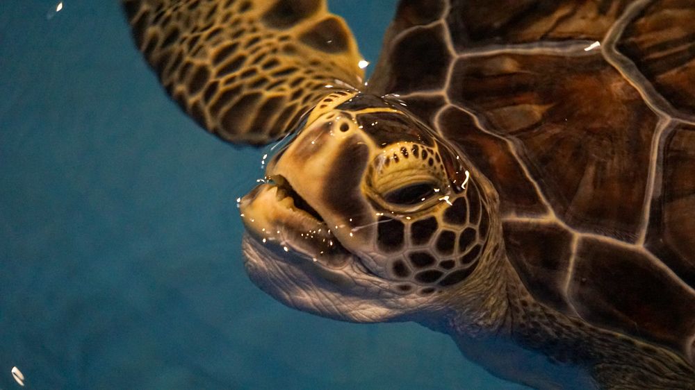 Photograph by Ethan Williams