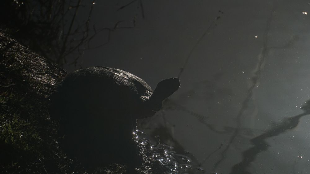 Photograph by Ethan Williams