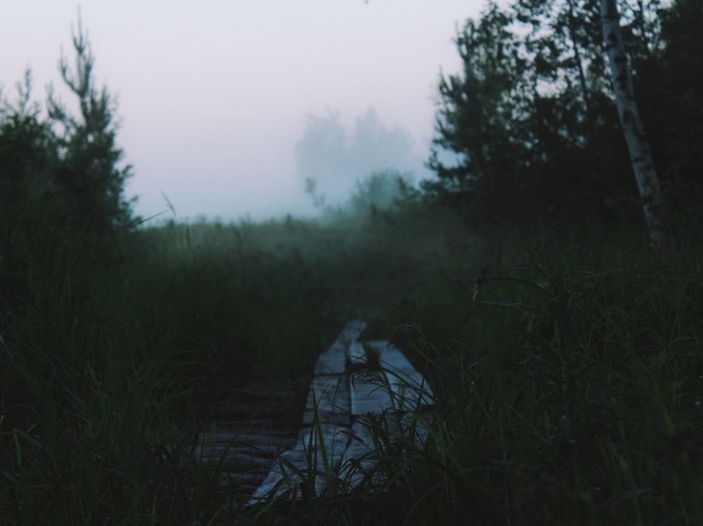 Photograph by Сергей Никифоров