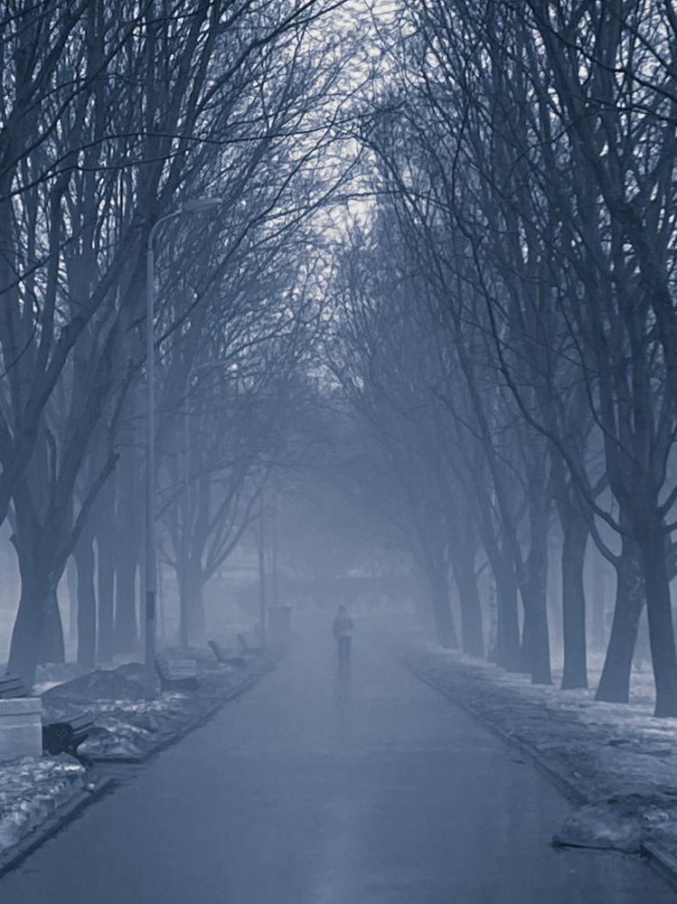 Photograph by Ирина Серегина