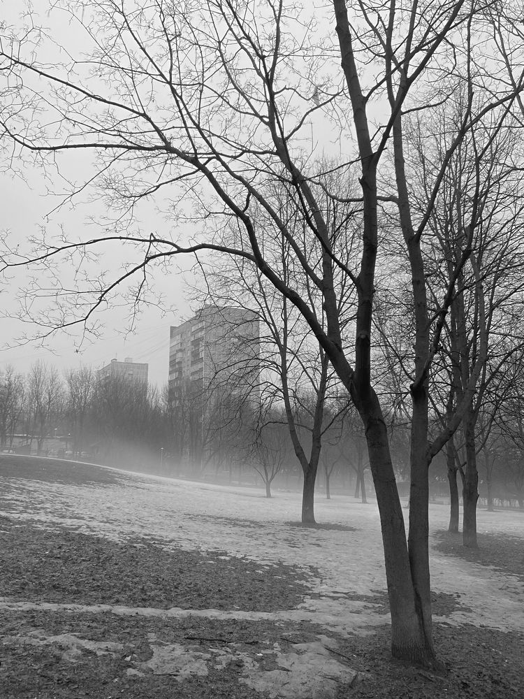 Photograph by Ирина Серегина