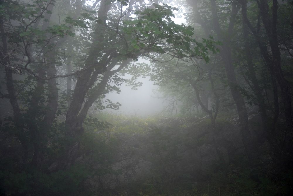 Photograph by Ольга Козлова