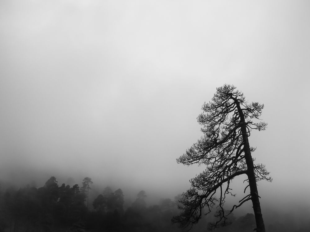 Photograph by Yamile Alfaro Picco