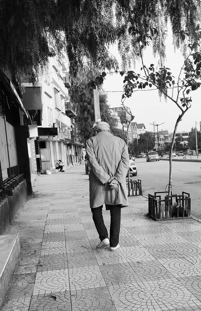 Photograph by Anous abadi