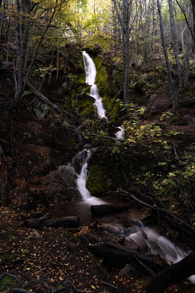 Photograph by Edson Romero