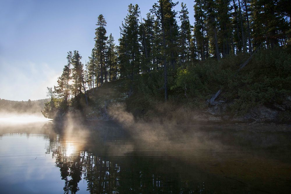 Пробуждение