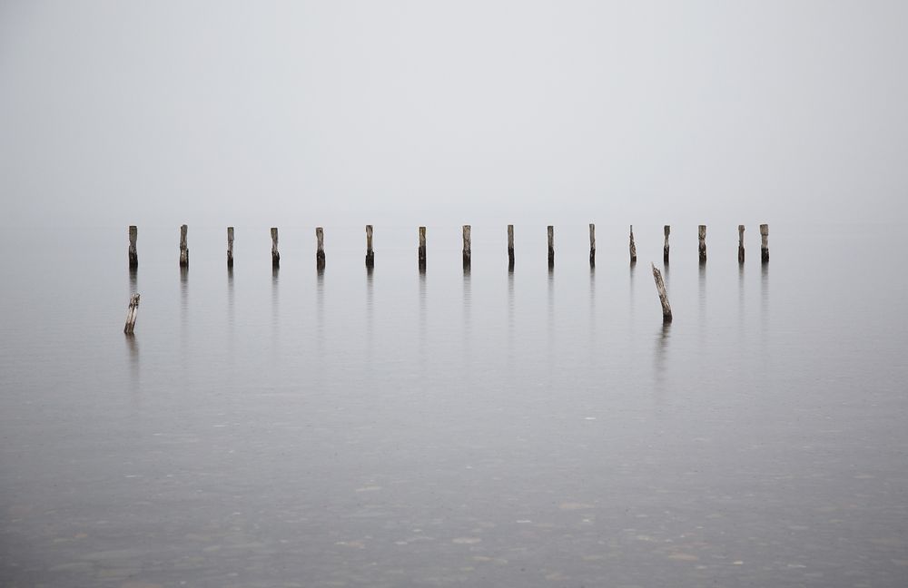 Фотография автора Marina