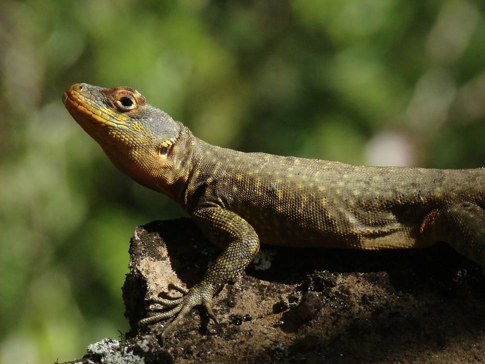 Фотография автора Marina