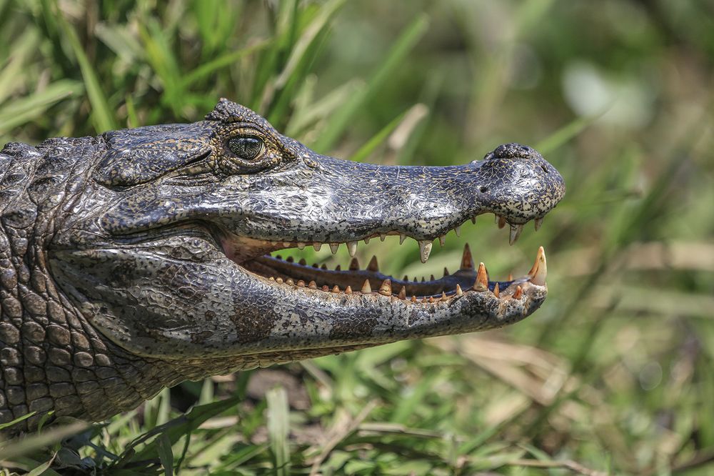 Фотография автора Marina