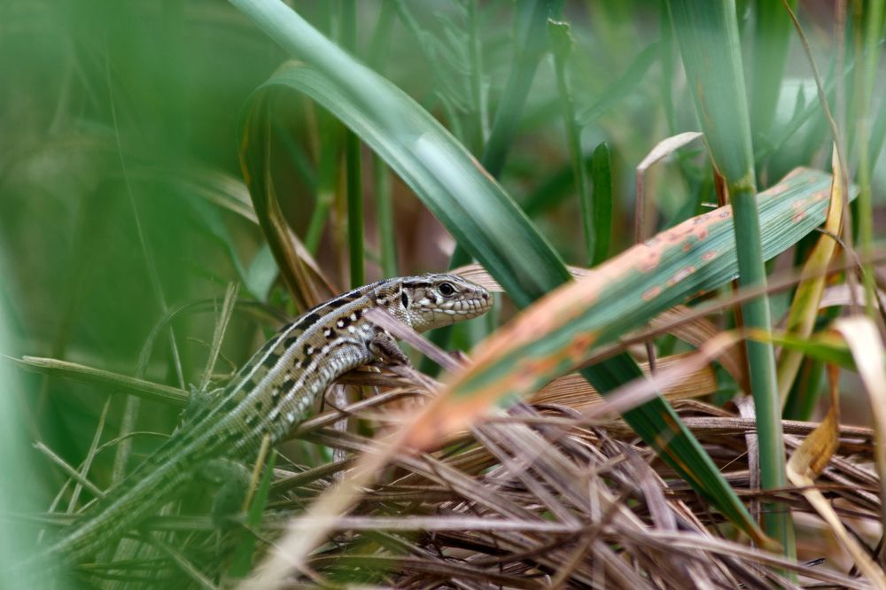 Photograph by Дмитрий Тимин