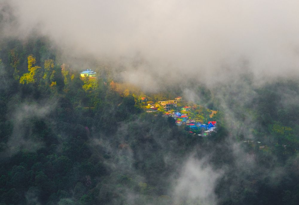 Photograph by Shampa Bhowmik