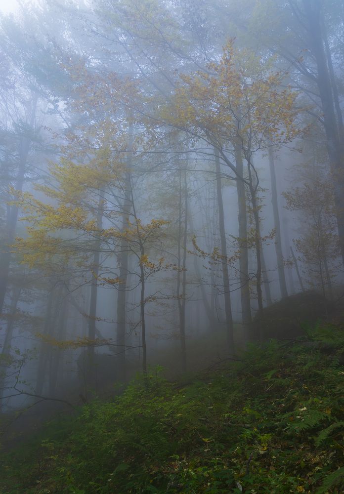 Фотография автора Виктор Демидов