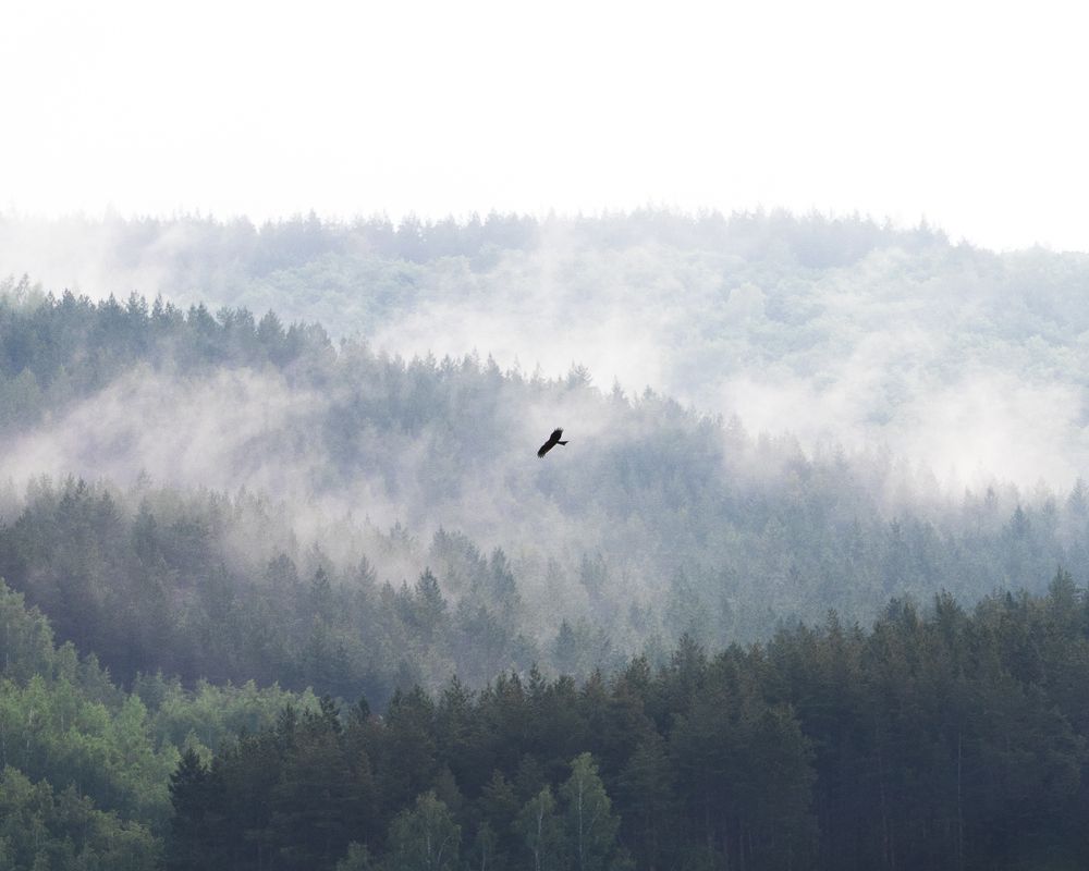 Фотография автора Шаяхметов Альберт