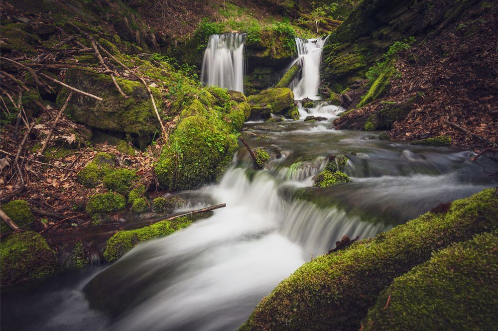 Photograph by Martin Nadymáček