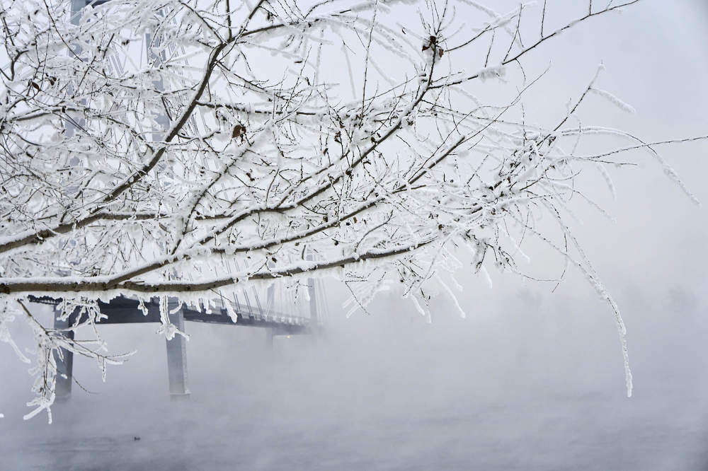 Photograph by Александр Пургин