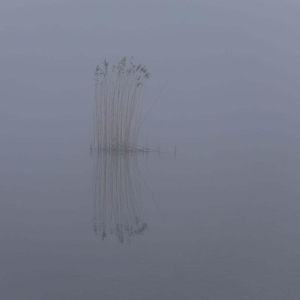 Photograph by Jiri Skalka