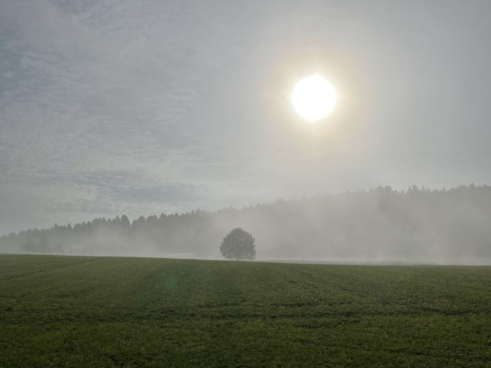 Photograph by Анна Титко