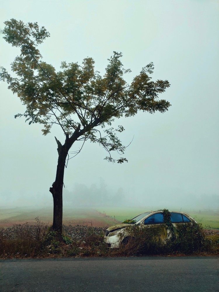 Photograph by Anik Mistry