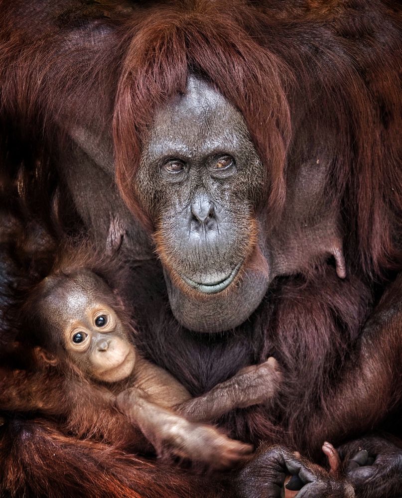 Photograph by Asa Satria Said