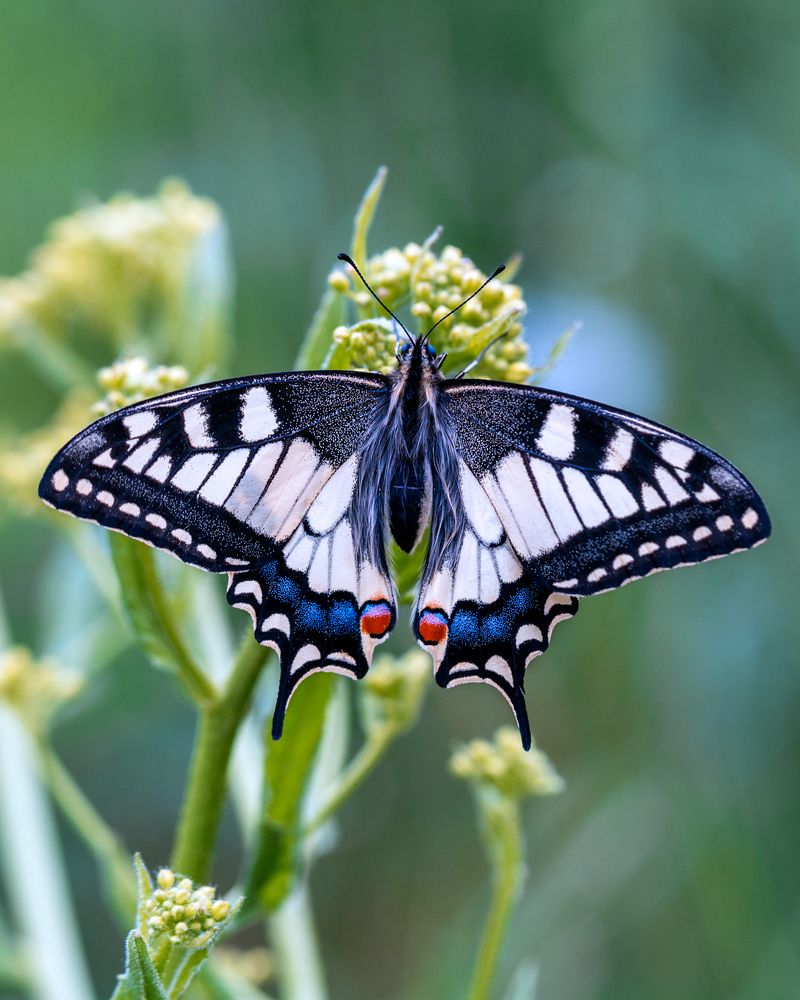 Photograph by  Михаил